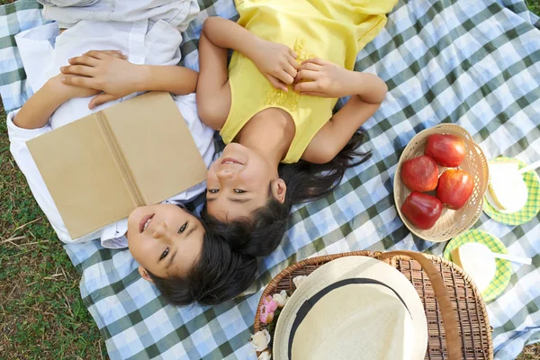 Маленькие Брат Сестра Устраивают Пикник Парке Лежат Одеяле Книгой — стоковое фото