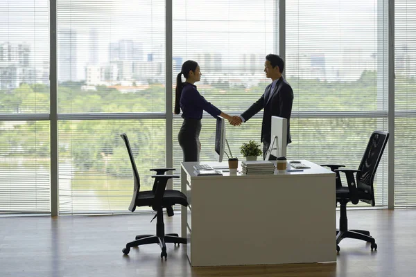 Hombre Negocios Positivo Conociendo Una Nueva Colega Oficina Dándole Mano —  Fotos de Stock