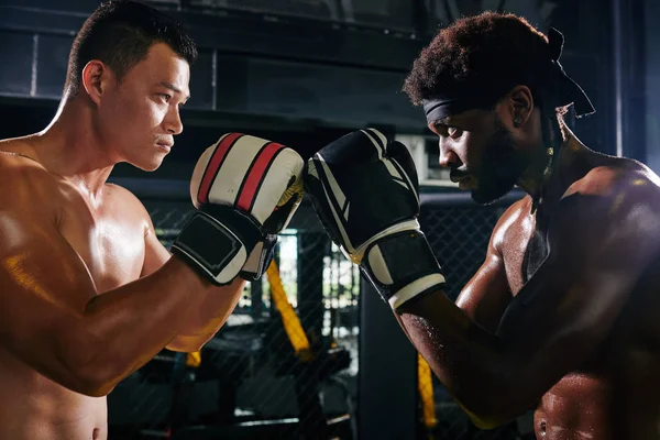 Ernstige Multi Etnische Muay Thai Boksers Handschoenen Kijken Elkaar Aan — Stockfoto