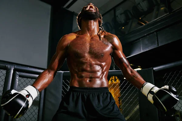 Boxeador Musculoso Sudoroso Gritando Fuerte Para Fijar Mente Para Ganar — Foto de Stock