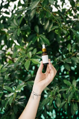 Kadın elinde pipet damlası şişesiyle çay ağacına karşı gerekli yağı tutuyor.