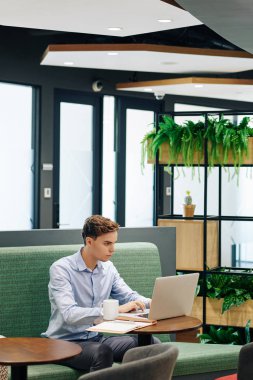 Çekici genç girişimci bir fincan kahveyle kafeterya masasında oturup dizüstü bilgisayar ekranına bakmaya odaklanmış.