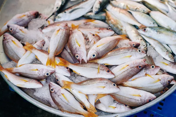 Pełny Duży Basen Surowej Ryby Lodzie Lokalnym Rynku — Zdjęcie stockowe