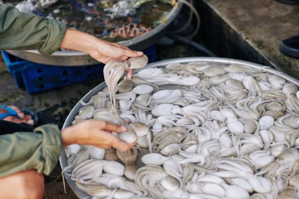 Hände Einer Jungen Frau Die Beim Einkaufen Auf Dem Fischmarkt — Stockfoto