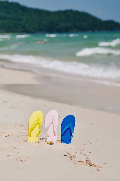 Chinelos Amarelos Rosa Claro Azul Que Levantam Praia Ensolarada Deserta — Fotografia de Stock