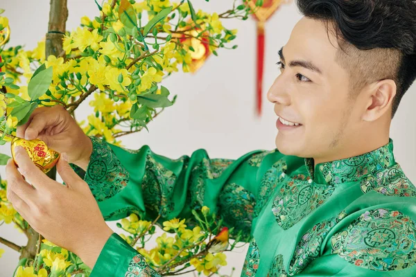 Lächelnder Schöner Junger Asiatischer Mann Schmückt Blühenden Aprikosenbaum Zur Feier — Stockfoto