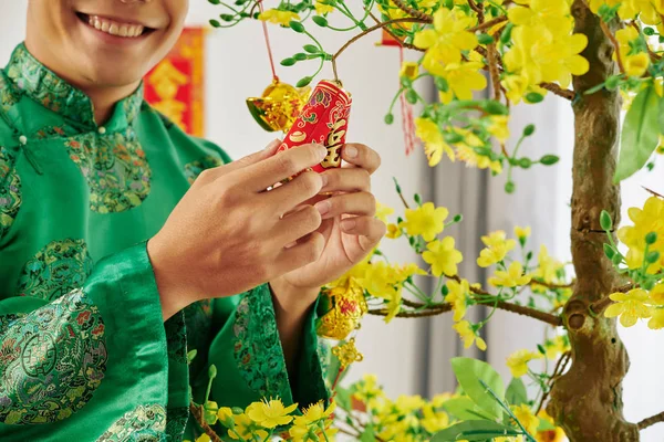 Lächelnder Junger Asiatischer Mann Hängt Kleine Feuerwerkskörper Blühenden Aprikosenbaum Wenn — Stockfoto