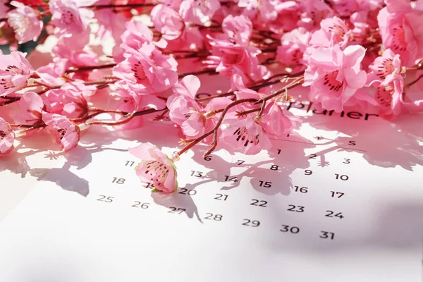 Pfirsichzweige Mit Schönen Blühenden Rosa Blüten Auf Kalender — Stockfoto