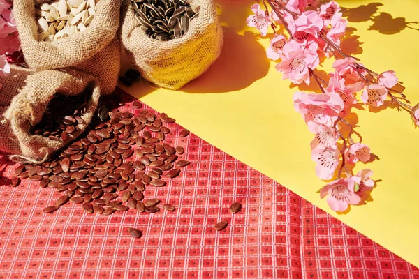 桌上摆满了开花结果的桃枝和西瓜 葵花籽和南瓜籽的麻袋 作为茶点庆祝活动 — 图库照片
