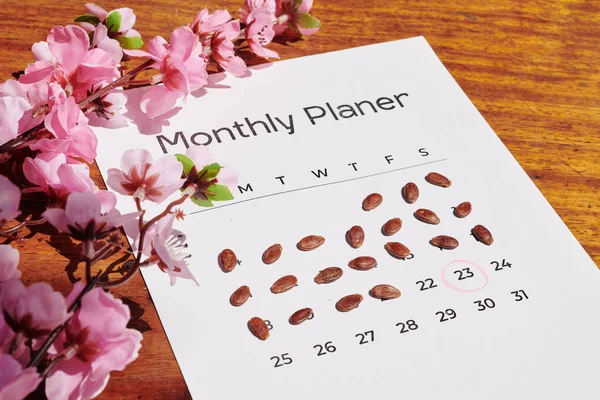 Planificador Mensual Con Días Cubiertos Con Semillas Sandía Concepto Año — Foto de Stock