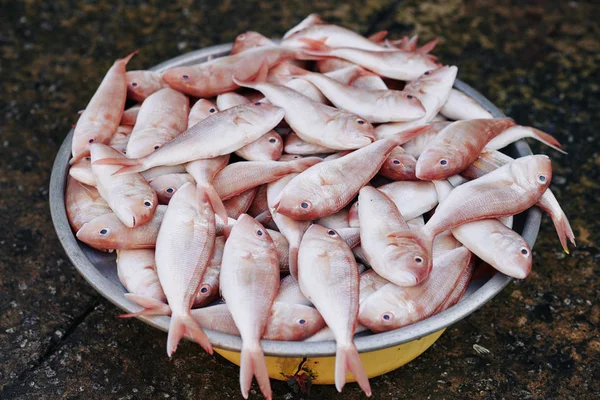 Stalowa Wanna Pełna Bladoróżowych Ryb Azjatyckim Targu Rybnym — Zdjęcie stockowe