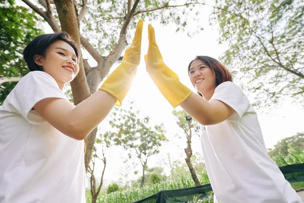 ゴム手袋をはめた若い女性ボランティアが都市公園でゴミ収集を終えた後 お互いに高い5を与えます — ストック写真