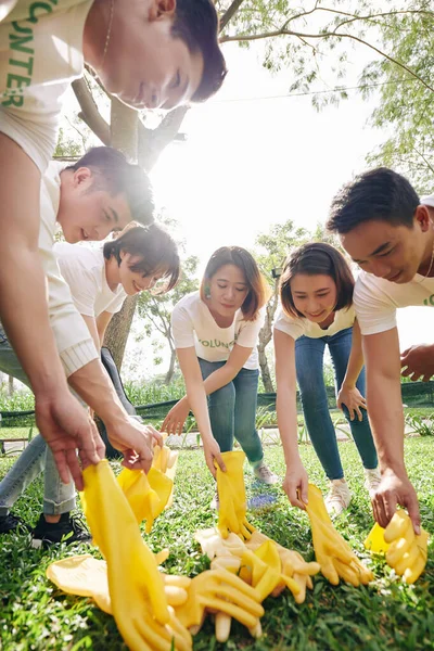 Группа Молодых Волонтеров Надевает Резиновые Перчатки Перед Собирать Мусор Парке — стоковое фото