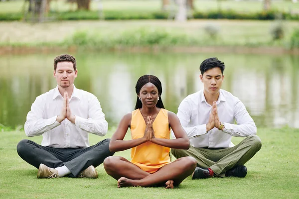 Young Multi Ethnic Business Team Sitting Meadow Park Meditating Yoga — Stock Photo, Image