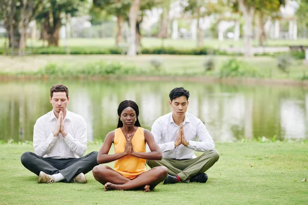 Pessoas Negócios Sentadas Prado Parque Praticando Ioga Lotus Posição — Fotografia de Stock