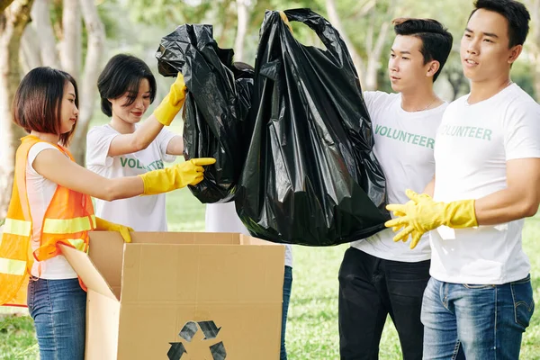 Junge Freiwillige Packen Nach Müllsammeln Park Volle Müllsäcke Kartons — Stockfoto
