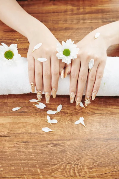 Dłonie Kobiety Kreatywnym Manicure Świeżym Ręczniku Stokrotki Kwiaty Płatki — Zdjęcie stockowe