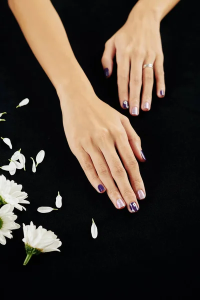 Женские Руки Простым Дизайном Ногтей Белые Ромашки Цветы Лепестки Вид — стоковое фото