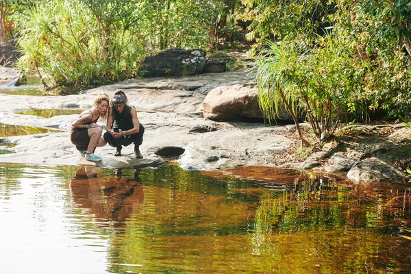 Turistler nehirde veya küçük orman gölünde su çekerken akıllı telefon kullanıyorlar
