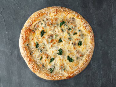 İtalyan pizzası. Tavuk, ıspanak ve mantarla. Kremalı soslu, mozzarella ve sulguni peynirli. Geniş açılı. Yukarıdan bak. Gri beton arka planda. İzole edilmiş.