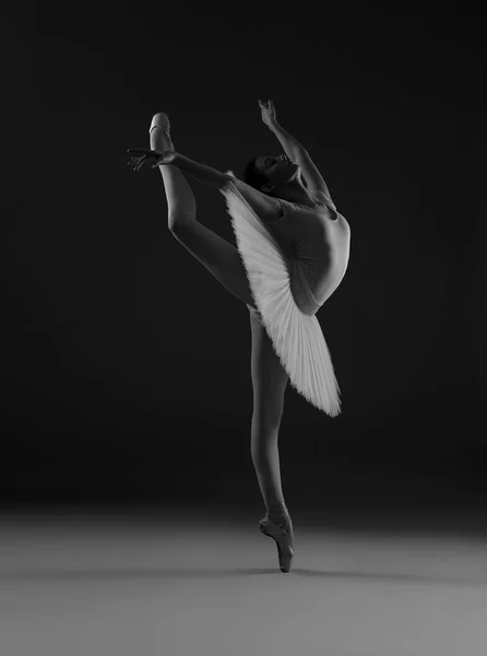 Ballerine Dansant Tutu Ballet Chaussures Pointes Photo Noir Blanc — Photo