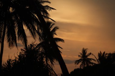 Sri Lanka adasında gün batımı