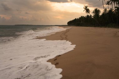 Sri Lanka adasının sahilinde geçen bir aşk hikayesi.