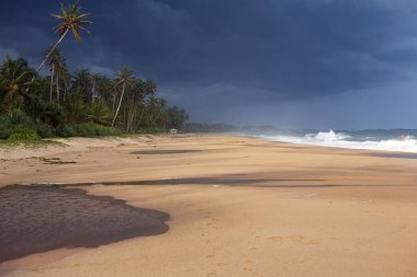 Sri Lanka adasında güneşli bir gün