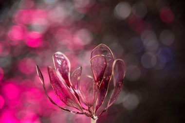 sweet lollipops on a beautiful bokeh background