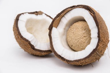 Beyaz arkaplanda tohumu olan hindistan cevizi