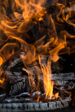 Bir ağacın yanan siyah kömürleri