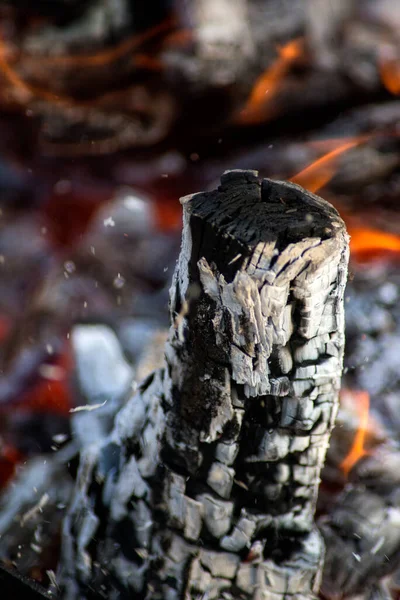 Brinnande Svarta Kol Från Ett Träd — Stockfoto