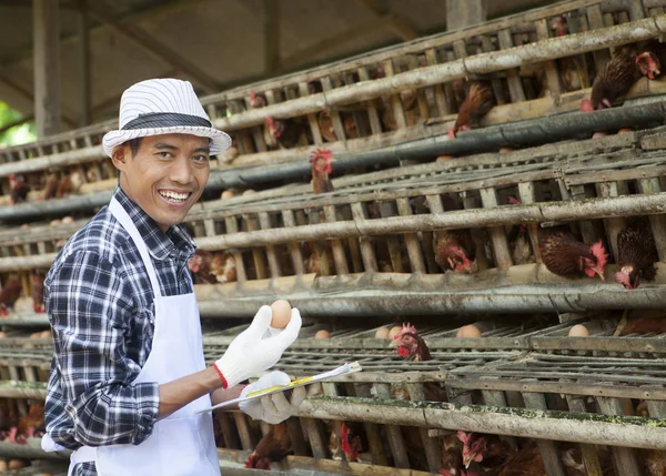 Agricultor em galinheiro — Fotografia de Stock