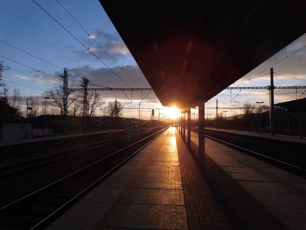 Захід Сонця Сцені Поїзда — стокове фото