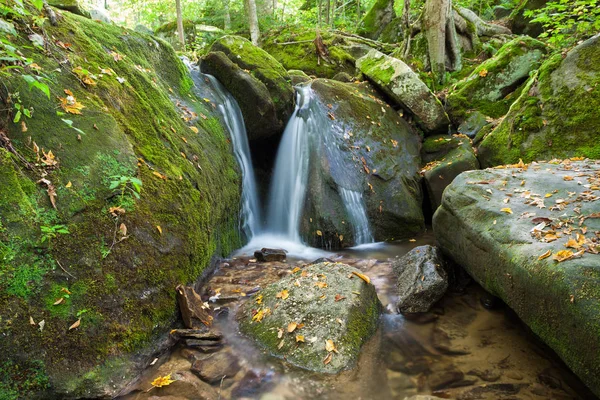 Located in the forests of Allegheny National Forest, this waterfall is supplied with water from higher up in the mountain.