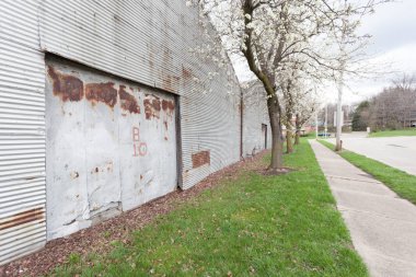 Çiçek beyaz crabapple ağaca eski bir depo kapı yanındaki. Ambar paslı ve, yuvarlak bir çatı ile terk.