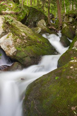 Dağlarda hızlı bir şekilde birkaç taş bir orman içinde akan bir şelale.