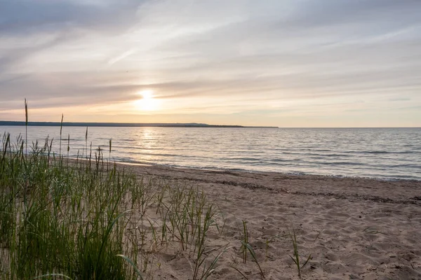 Michigan, kumlu bir plajda güneşin ufukta düşük ile çimen.