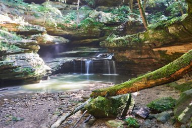 Hocking Hills Eyalet Parkı 'ndaki Yaşlı Adam Mağarası' nın yakınında güzel, yemyeşil bir şelale akıyor. Dere, baldıran otuyla kaplı bir vadiden ve kaya çıkıntılarının üzerinden akıyor..
