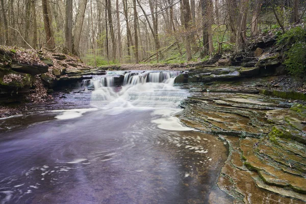Baharda bir gün Güney Chagrin Metropark 'ta bir şelale.