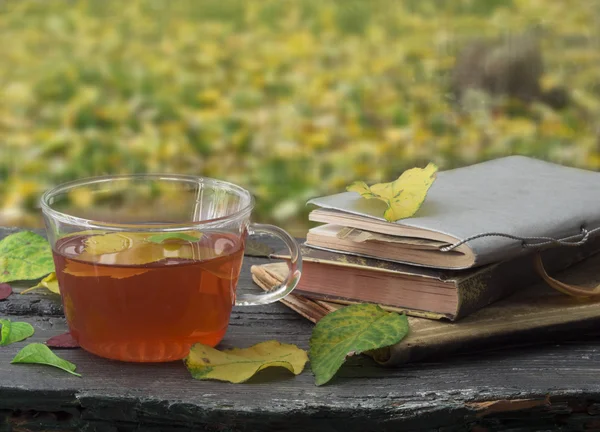 Cup of tasteful tea — Stock Photo, Image