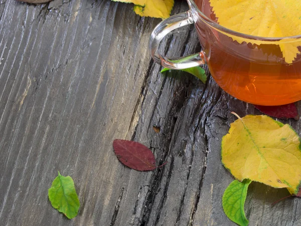 Tazza di tè di buon gusto — Foto Stock