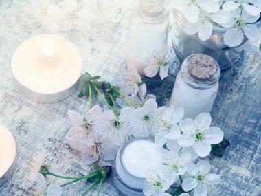 taze doğal kozmetik