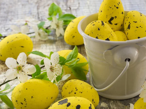 Concepto Huevos de Pascua —  Fotos de Stock