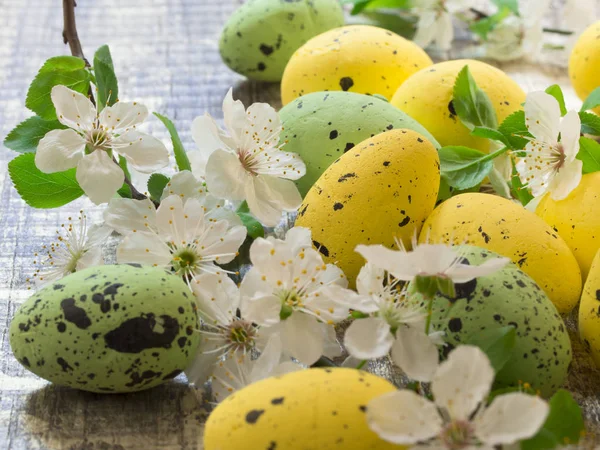Paskalya yumurtaları kavramı — Stok fotoğraf
