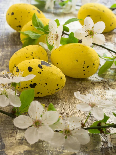 Paskalya yumurtaları kavramı — Stok fotoğraf