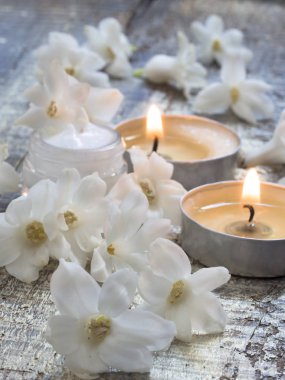 Doğal organik kozmetik