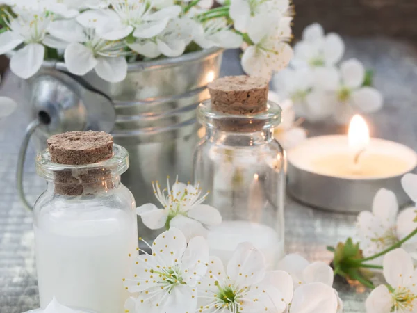 Cosméticos orgânicos naturais — Fotografia de Stock