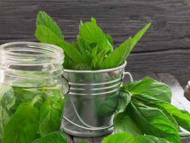 Taze nane yaprakları