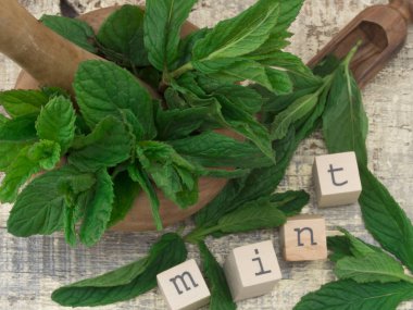 Taze nane yaprakları